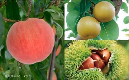 【フルーツ3回定期便】 桃 1kg ＋ 梨 5kg ＋ 栗 2kg 【2026年5月下旬～10月上旬迄順次発送予定】 もも モモ なし ナシ 和梨 くり 果物 果実 フルーツ 定期便 九州 熊本県 あさぎり町 常温
