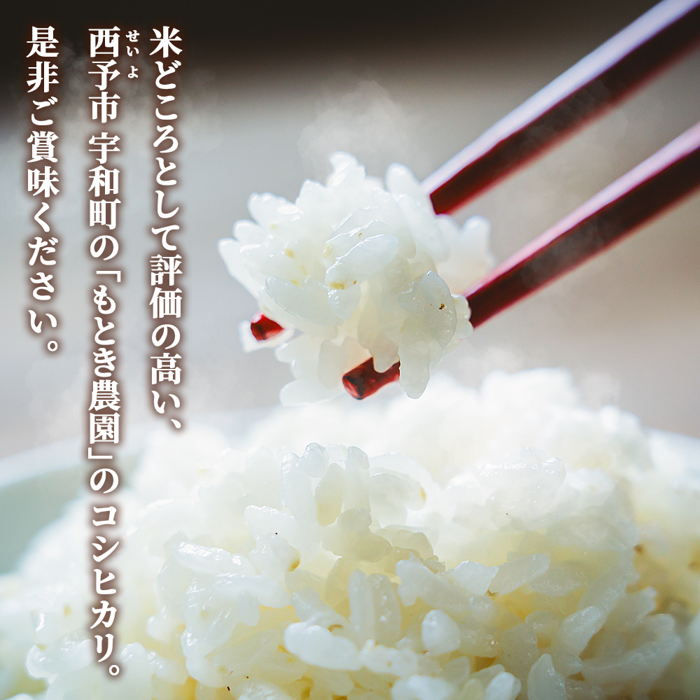 【先行予約】＜令和8年産 愛媛県西予市産 コシヒカリ 5kg＞ お米 コメ こめ 白米 精米 ご飯 新鮮 5キロ 国産 愛媛県産 宇和町産 こしひかり 特産品 もとき農園 愛媛県 西予市