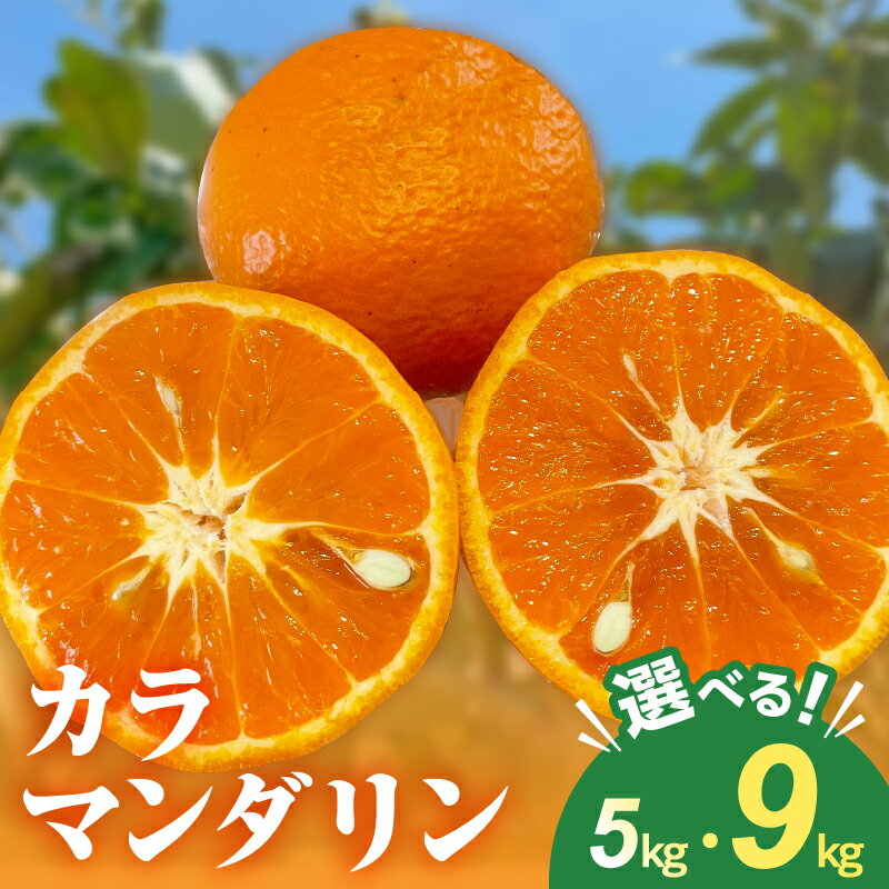 【ふるさと納税】ミカファーム みかん カラマンダリン 5kg 9kg 選べる 容量 三重県御浜町産【ジューシーかつ濃厚な味わいの高級柑橘】