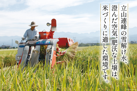 【一等米100％】ばんどり米（コシヒカリ）玄米 10kg×1袋[農事組合法人 東和 富山県 舟橋村 57050152] 