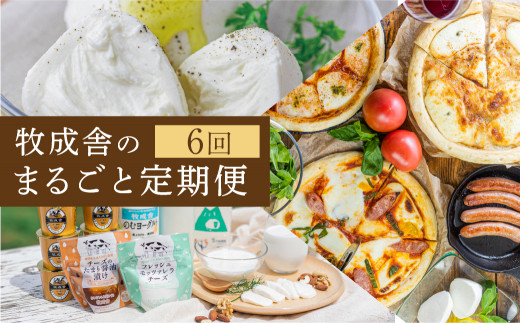 乳製品 定期便 6回＜牧成舎＞牛乳 ヨーグルト チーズ ピザ ソーセージ 牧成舎の商品をまるごと楽しむ 定期便 お楽しみ