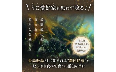 羅臼産 塩水うに（上） 200g（100g×2枚）天然 エゾバフンうに ミョウバン不使用 北海道産 知床羅臼産