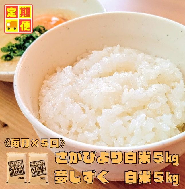 
            CI956 【白米食べ比べ！】さがびより５㎏夢しずく５㎏【５回定期便】
          