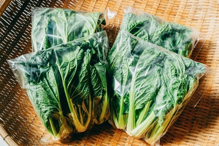 【自然栽培】大和の伝統野菜 下北春まな1kg 草野自然農園 国産野菜