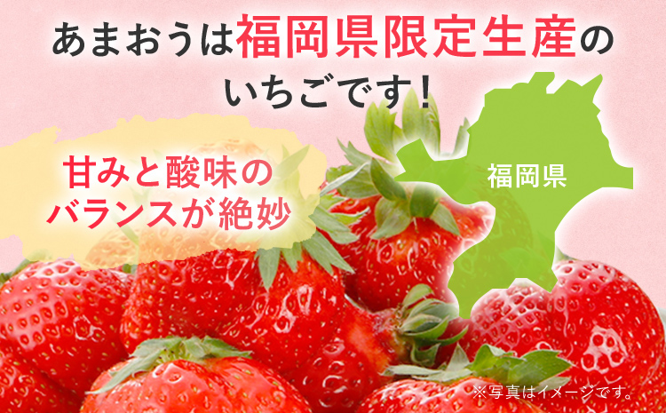 【2027年先行予約】春のあまおう(G規格以上約250‐270g x 4パック) お取り寄せグルメ お取り寄せ 福岡 お土産 九州 福岡土産 取り寄せ グルメ 福岡県