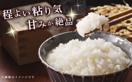 【令和7年度産】福田さんちの大村産ひのひかり5kg / 米 おこめ お米 白米 / 大村市 / 一般社団法人大村市物産振興協会[ACAB142]