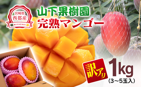 【発送中】山下果樹園　ご家庭用完熟マンゴー1kg　2025年発送＜1.5-25＞