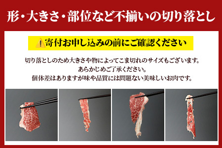 熊本あか牛 切り落とし 500g  国産 ブランド 牛 肉 冷凍 牛肉 熊本 牛肉 熊本県産 あか牛 牛肉 赤牛 牛肉 切り落とし 牛肉 牛肉 041-0143