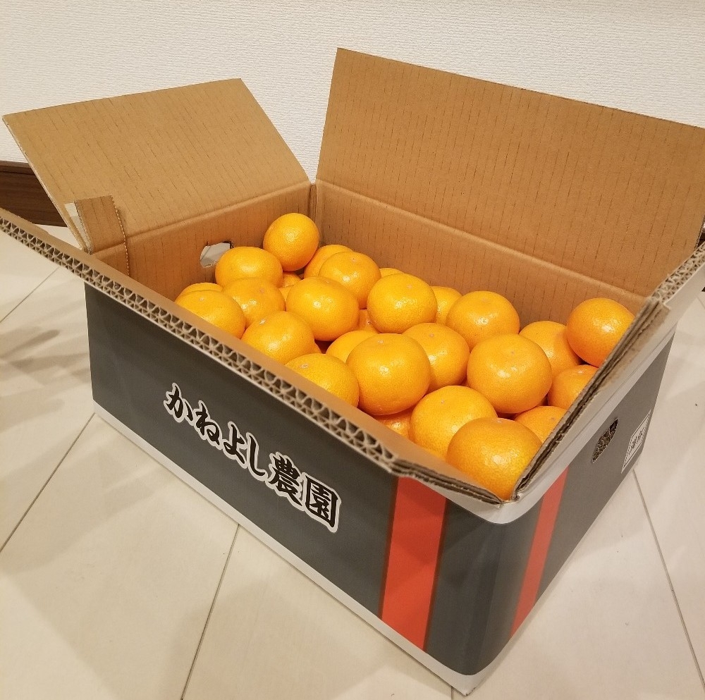 
                  N255　かねよし農園みかん５ｋｇ　Ｌサイズ
                