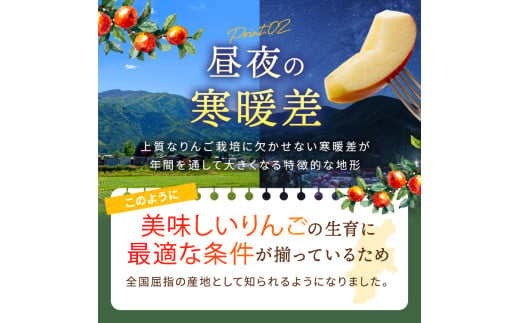 長野県産 りんご 秋映 約5kg 【2026年9月下旬～発送】