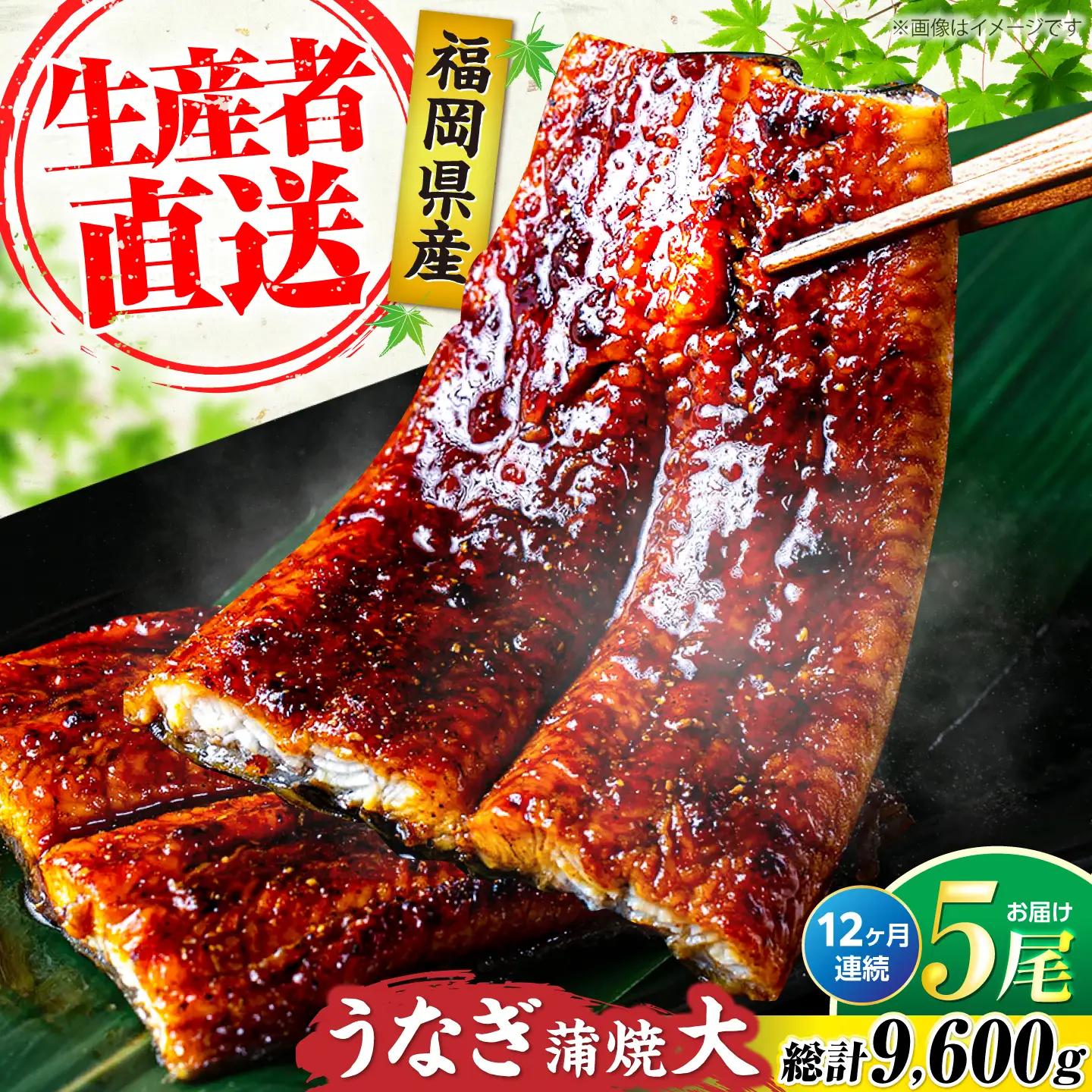 【全12回定期便】福岡県産 うなぎ 蒲焼 大5尾 VAD019 うなぎ