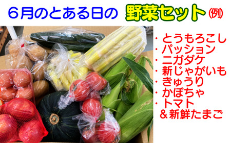 種子島発！旬の野菜と玉子セット　360ｐｔ　NFN194