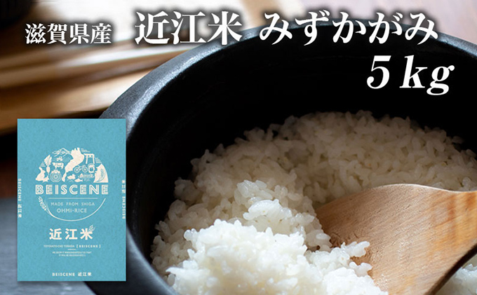 令和6年産新米　滋賀県豊郷町産　近江米 みずかがみ　5kg