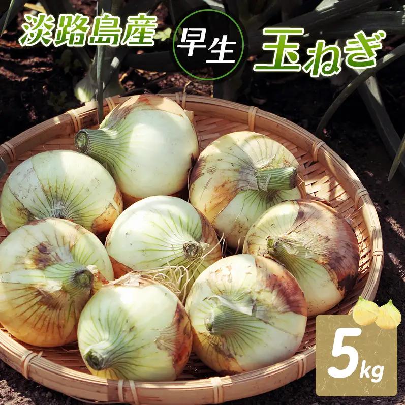 ふれあい市の会 早生 玉ねぎ 5kg ふれあい市の会 淡路島 洲本市