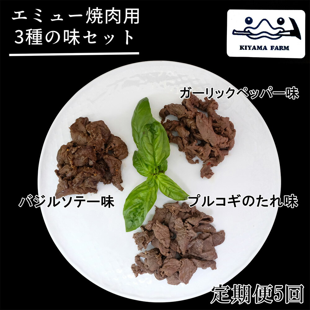【ふるさと納税】【5か月定期便】エミュー焼肉用3種の味セット【エミュー 基山産 高タンパク 高鉄分 低カロリー ヘルシー ジビエ 貴重肉 鉄分補給】F-R006302