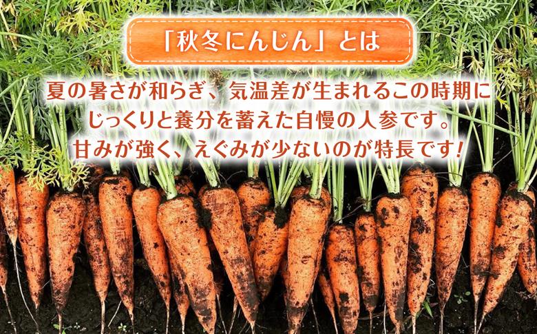 【先行予約】【2026年11月より順次発送】菊陽秋冬にんじん (訳あり) 約5kg / にんじん 菊陽にんじん 秋冬にんじん ニンジン 人参 野菜 熊本 菊陽 【さかもと農園】 [BHDL007]