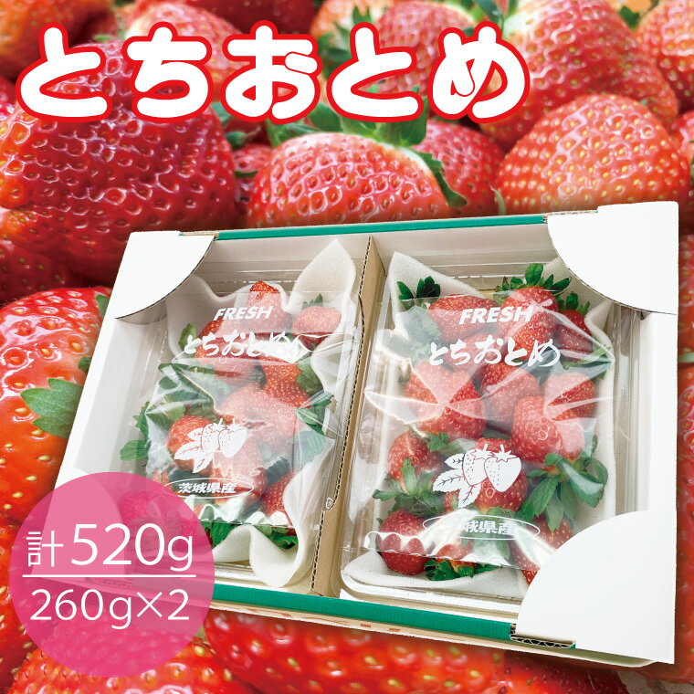 【ふるさと納税】【数量限定】とちおとめ 2パック入り1箱 苺いちごイチゴ果物フルーツ（KBP-7）