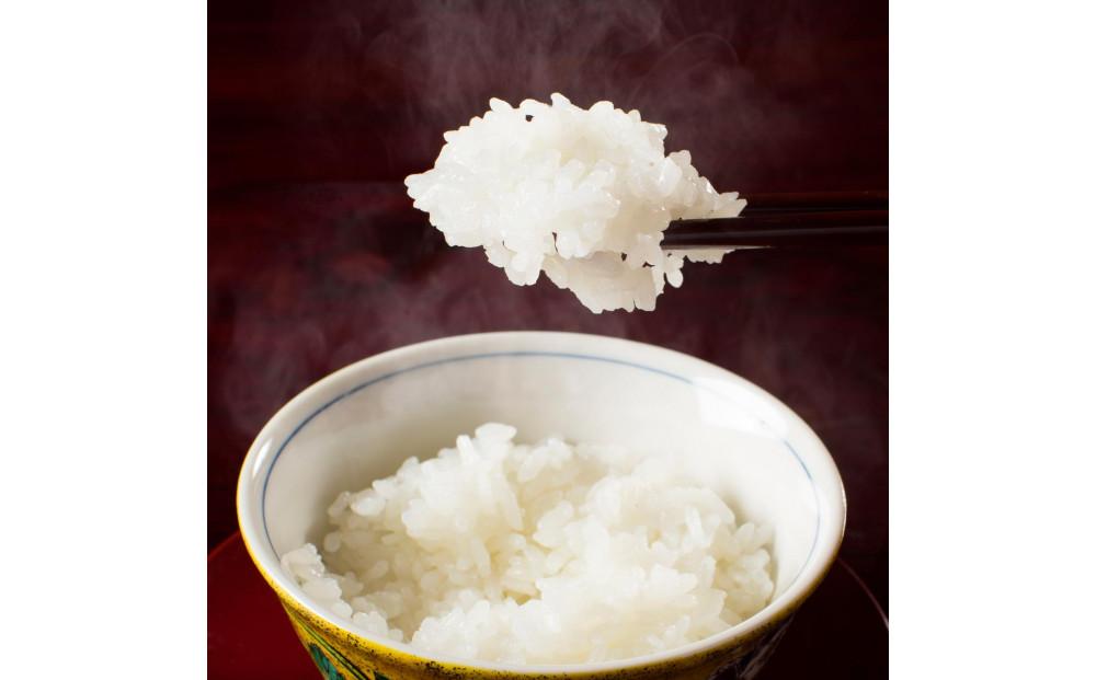 【令和6年産 】新潟県産こしひかり「秋の日」（無洗米5kg）新潟県の美味しいお米。