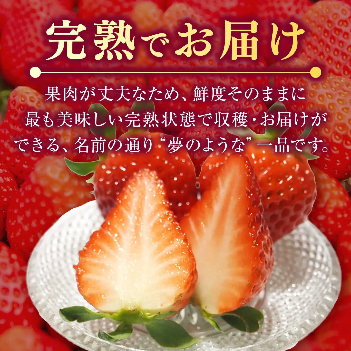 【先行予約】【ジャム用】ゆめのか 1kg 【2027年1月以降順次発送】[JEM007] いちご 苺