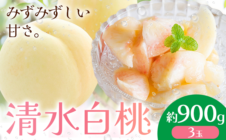 【先行予約】清水白桃  約900g もも モモ 岡山 国産 フルーツ 果物 桃茂實苑《7月中旬-8月上旬頃出荷》岡山県 浅口市 フルーツ モモ 果物 青果 旬 白桃 国産 岡山県産【配送不可地域あり】