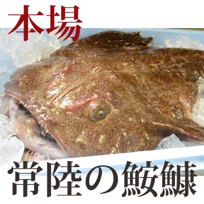 【2月発送】常陸名物　あんこう鍋セット(3～4人前)【配送不可地域：離島・沖縄県】