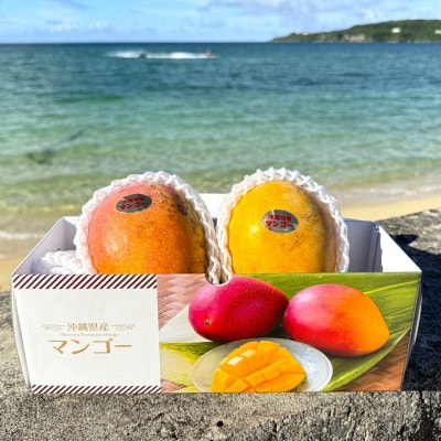 【2026年7月から順次発送・数量限定】仲本マンゴー園の希少品種の夏小紅1kg(2～3玉)【配送不可地域：離島】