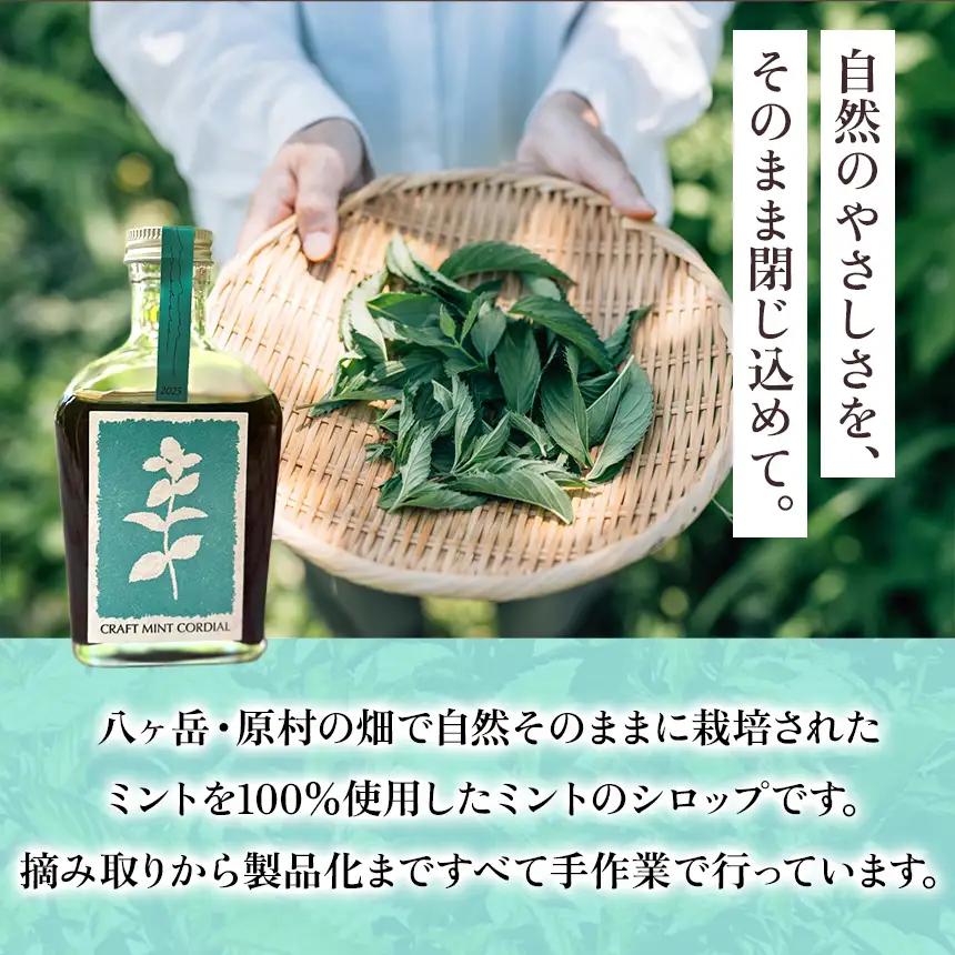 nokara ミントコーディアル
