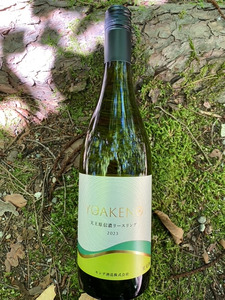 明野のワイン いろいろ 4本セット 受賞作品込 ワイン セット 白ワイン ロゼ 赤ワイン 4種類 シャンクレール モンデ酒造 御勅使川ワイナリー 720ml 750ml お酒 アルコール 母の日 父の