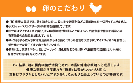 【定期便】えびのの大自然で育ったこだわりタマゴ 康卵 90個×3ヶ月 合計270個 各月破損保証10個含む 赤 Mサイズ 卵 たまご 鶏卵 鶏 国産 九州産 送料無料