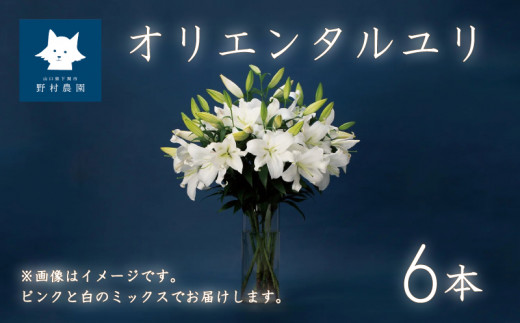 
オリエンタルユリ 花束 6本 (蕾数 約25個) 花 切り花 ゆり 下関 山口
