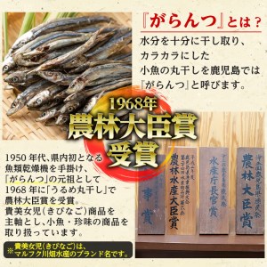 鹿児島県阿久根市産生干し「ひいらぎ」(計5袋・1袋45g)国産 魚介 干物 ひもの ヒイラギ がらんつ干物【マルフク川畑水産】a-12-153