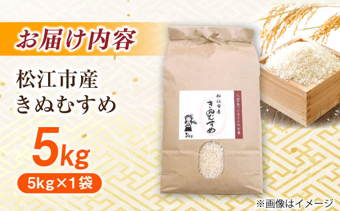 ＼新生活応援企画！／【数量限定50個】【4月末まで！】豊かな自然が育んだお米 松江市産きぬむすめ 5kg 島根県松江市/フジキコーポレーション株式会社 [ALDS020] 米