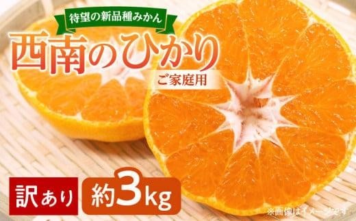 寄附額改定／【訳あり 】みかん 西南のひかり　ご家庭用　約3kg【2024-12月上旬～2025-1月上旬配送】
