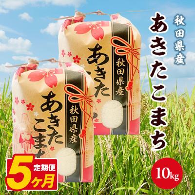 ふるさと納税 八郎潟町 【毎月定期便】あきたこまち 10kg(5kg×2袋)【白米】 秋田県産全5回