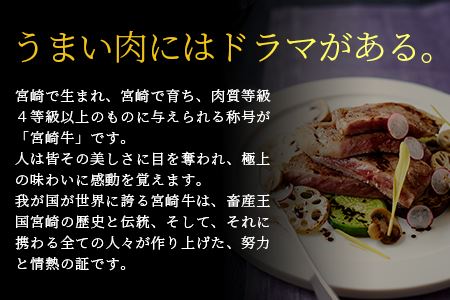 【定期便 6回】受賞歴多数!! 宮崎牛を6ヶ月で合計4.9キロ 宮崎牛づくし 【大人気定期便宮崎牛 人気定期便宮崎牛 ランキング上位定期便宮崎牛 宮崎県産定期便牛肉  黒毛和牛定期便宮崎牛 すきやき定