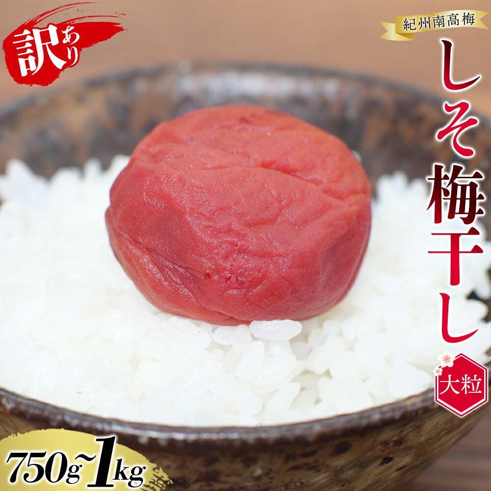 【ふるさと納税】 紀州南高梅 大粒 しそ漬け梅干し 和歌山 1kg 750g 塩分約8%【レビューキャンペーン実施中！】 ご家庭用 無選別 訳あり 訳アリ 梅 梅干 梅干し うめ ウメ 南高梅 しそ梅 しそ梅干し しそ梅干 大粒 大容量 たっぷり お得 ご飯のお供 人気 健康