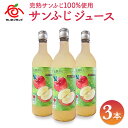 【ふるさと納税】りんごジュース (サンふじ) 3本入｜林檎 リンゴ 果汁100% 産地直送 [0380]
