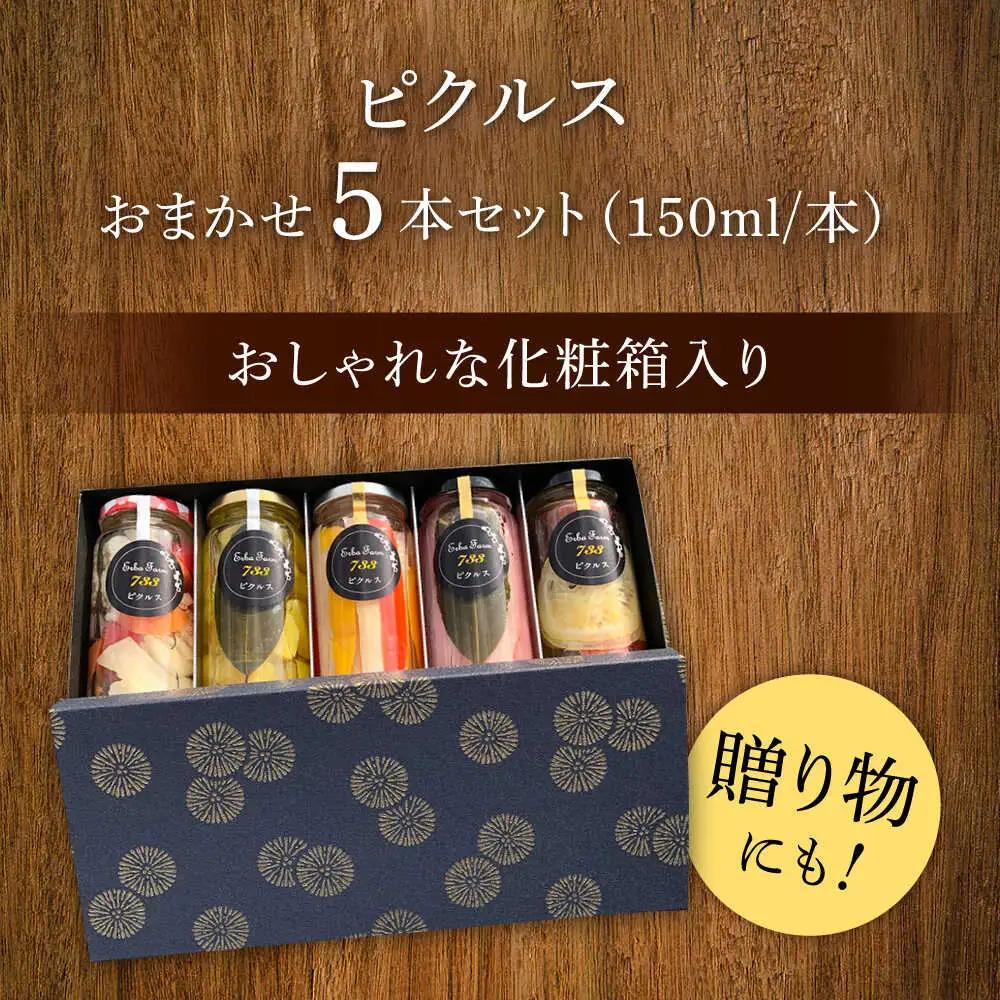 ピクルス お任せピクルス5本セット化粧箱入り [ABAP006] ピクルス