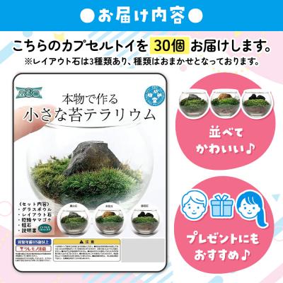 ふるさと納税 邑楽町 小さな苔テラリウム カプセルトイ 30個セット 株式会社チャーム|09_chm-dl3001 |  | 02