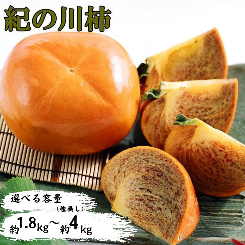 【ふるさと納税】【希少】紀の川柿【選べる容量】約1.8～2kg / 約3.5～4kg（種無し）秀選品★2025年10月中旬頃より順次発送【TM12】 | 楽天ふるさと 納税 和歌山県 由良町 支援品 返礼品 特産品 名産品 種無し 柿 かき カキ 果物 フルーツ お礼の品 お取り寄せ 取り寄せ
