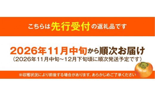 【先行受付】 富有柿 5kg こねり柿園自慢の富有柿 KNR0608