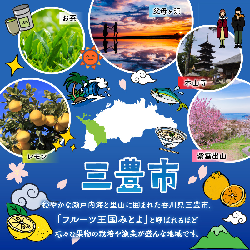 三豊市産 人気の厳選フルーツ定期便R（年4回）