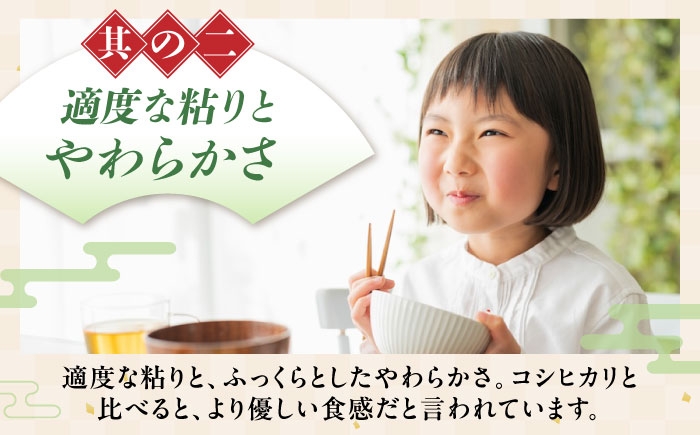 近江米 きぬむすめ キヌムスメ 滋賀県産 国産 5kg 米 コメ お米 白米 ご飯 おにぎり ご飯のお供 お弁当 親子丼
