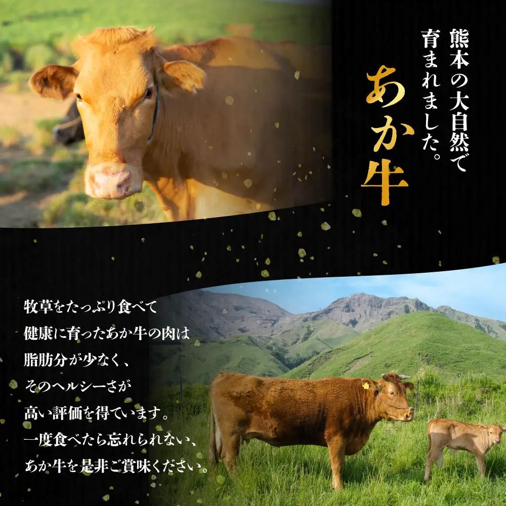 【三協畜産】熊本名物あか牛丼セット 2人前 あか牛 牛肉 国産 冷凍 阿蘇市