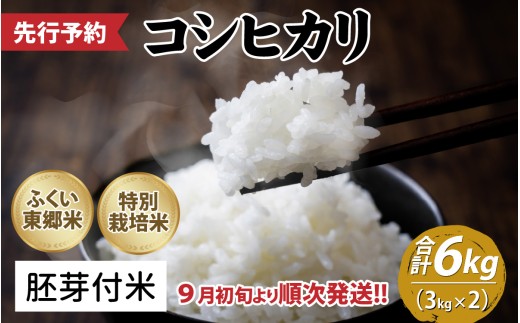 【先行予約】令和8年産 新米 ふくい東郷米 特別栽培米　農薬70％減コシヒカリ 6kg 3kg×2袋「2026年9月初旬より順次発送」【胚芽付米】[A-020019_03]