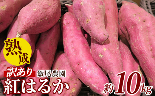 
《 訳あり 》飯尾農園 紅はるか 約10kg 芋 いも さつまいも サツマイモ 鹿児島県産 国産 長島町産 べにはるか 熟成【飯尾農園】miio-6125
