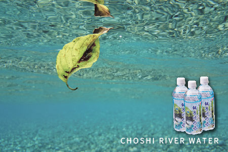 銚子川の水 500ml(24本入)【A90】