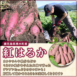 さつまいも 紅はるか 10kg サツマイモ ミニサイズ 有機【そのやま農園】_y329-B