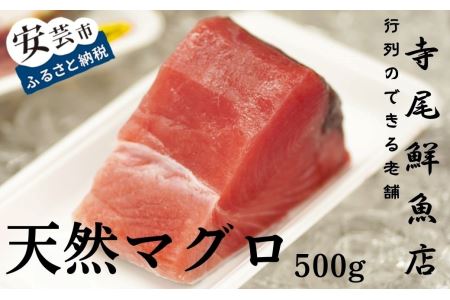 天然まぐろ 赤身 500g キハダマグロ【マグロ】