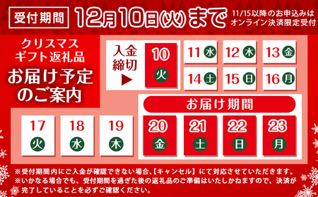 【☆クリスマス☆】宮崎牛サーロインステーキ200g×3枚≪12月20日～23日お届け≫_AD-2603-OJX_(都城市) 宮崎牛 牛 サーロイン サーロイン ステーキ 200g×3枚 600g